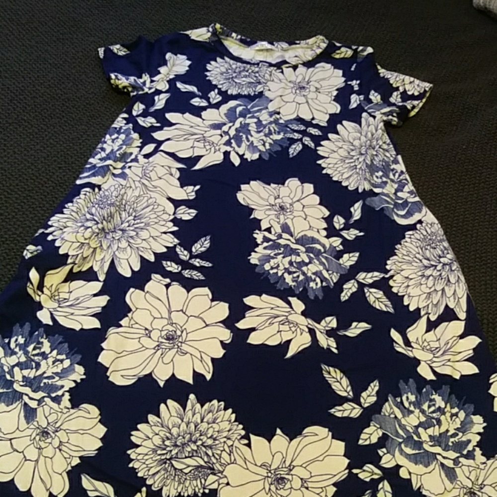 Honey and Lace Swing/Summer Dress